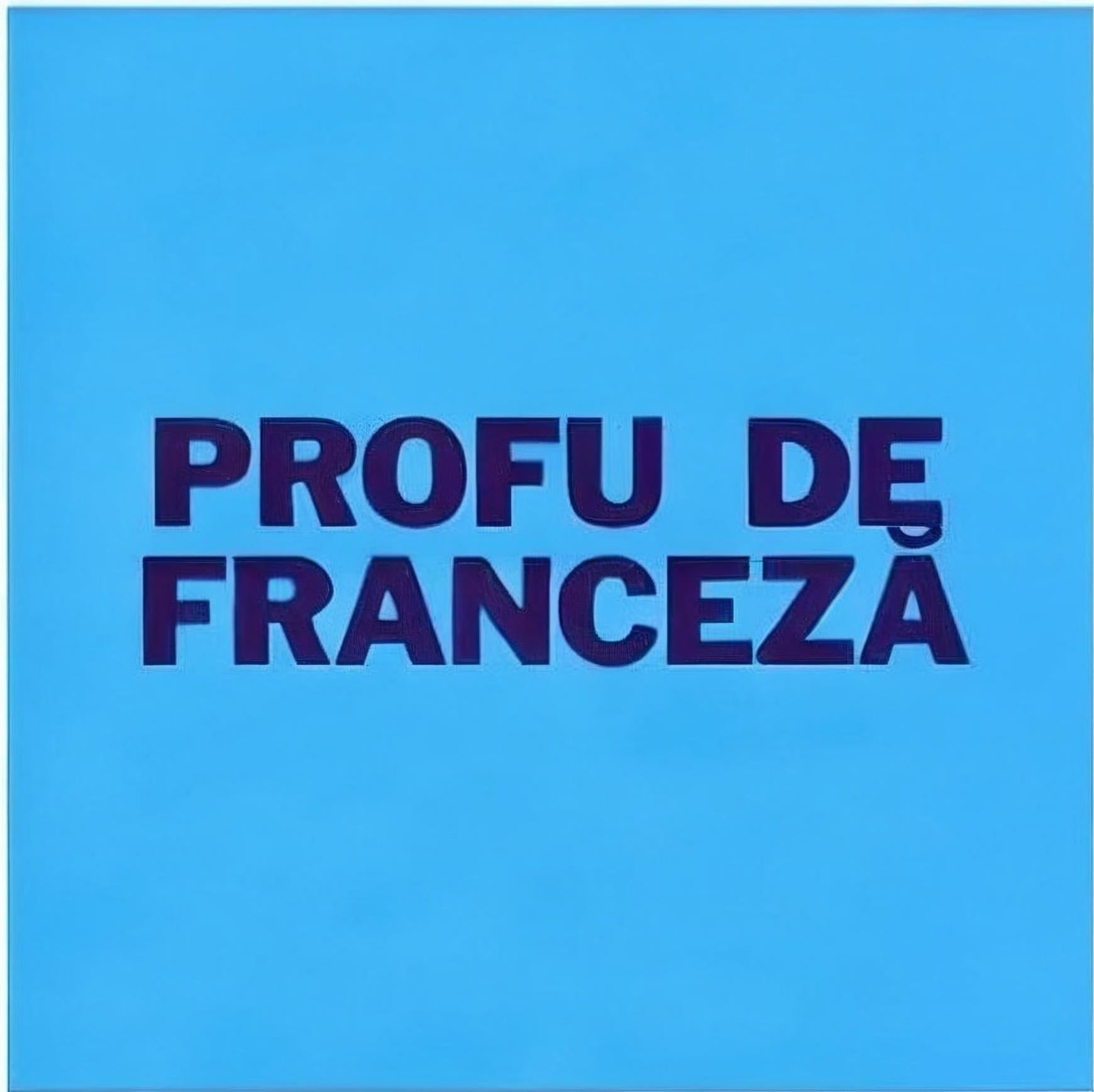 Meditatii limba franceza Bucuresti